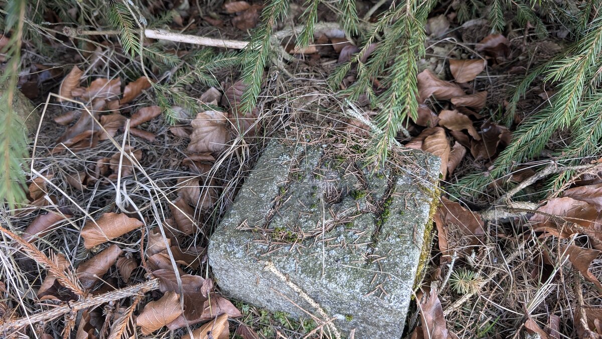 Grenzstein im Wald